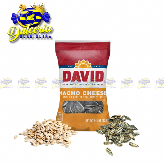 David Queso